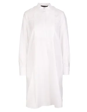 Max Mara Asymmetrical Oxford Dress