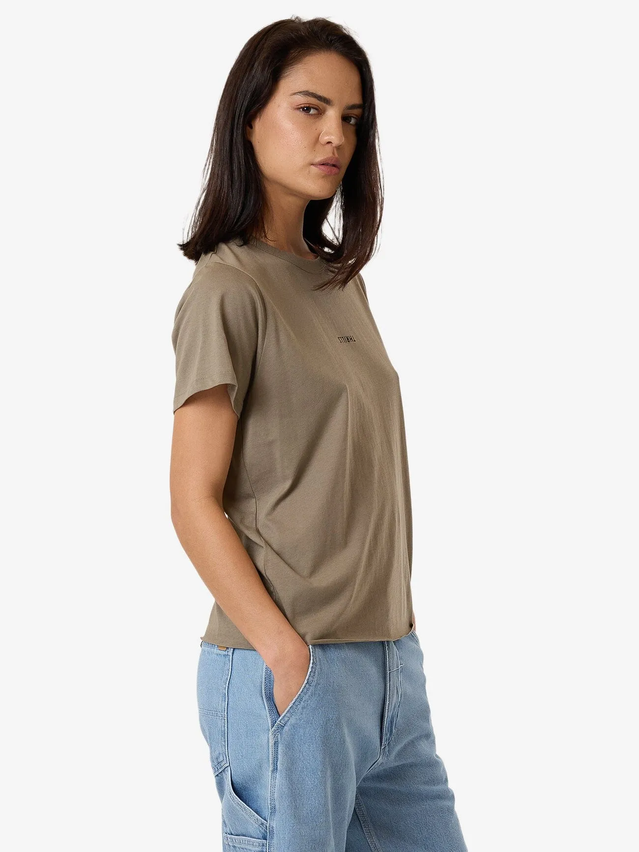 Minimal Thrills Relaxed Tee - Brindle