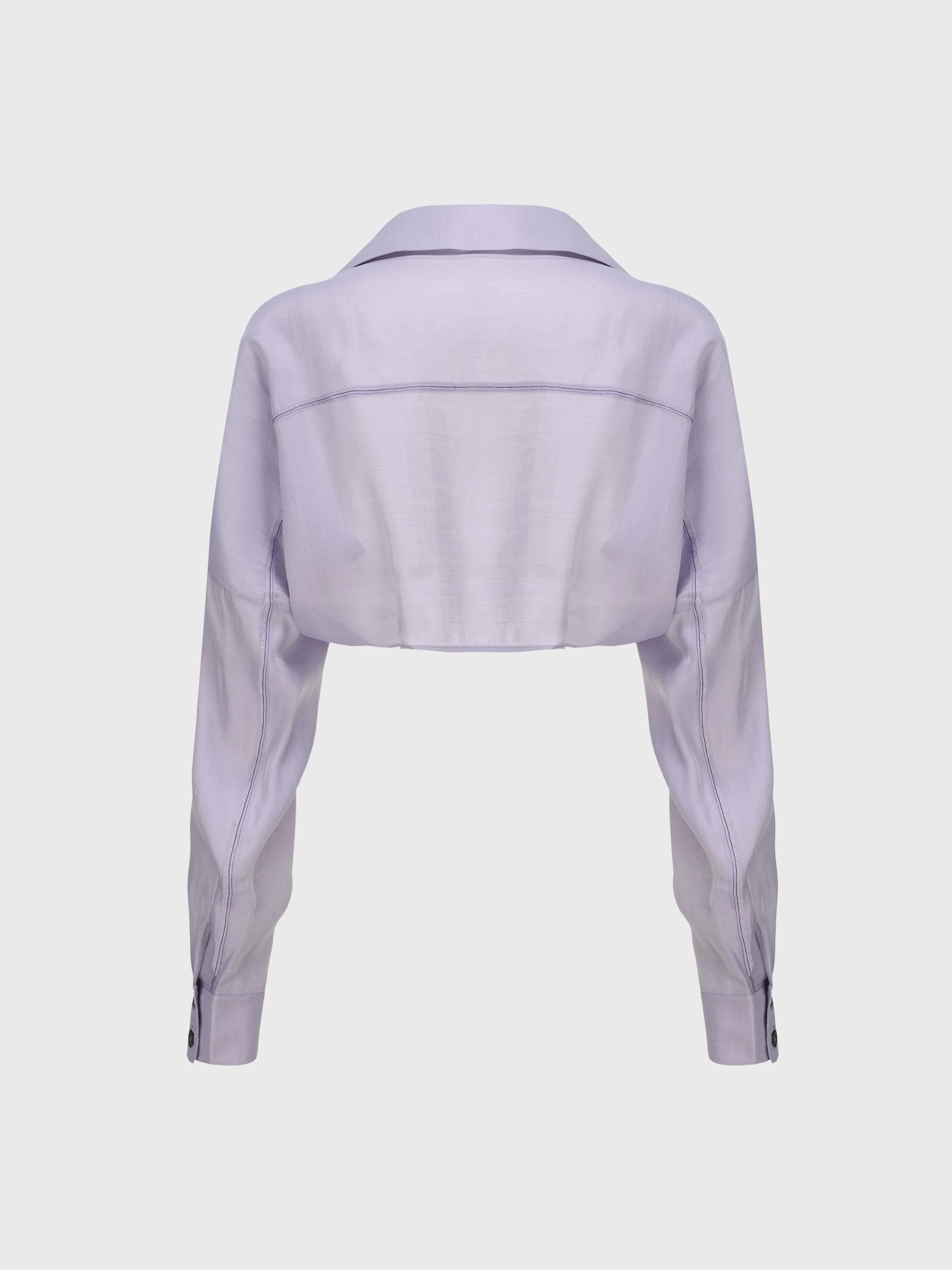 See-Through Crop Shirt